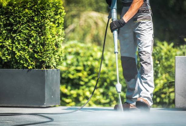 Best Soft Washing for Delicate Surfaces in Theresa, WI