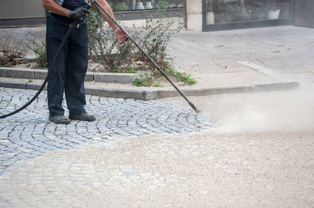Best Building Exterior Pressure Washing in Theresa, WI